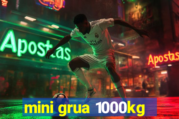 mini grua 1000kg